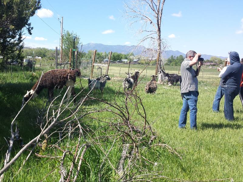 Academic Credit Courses 2017